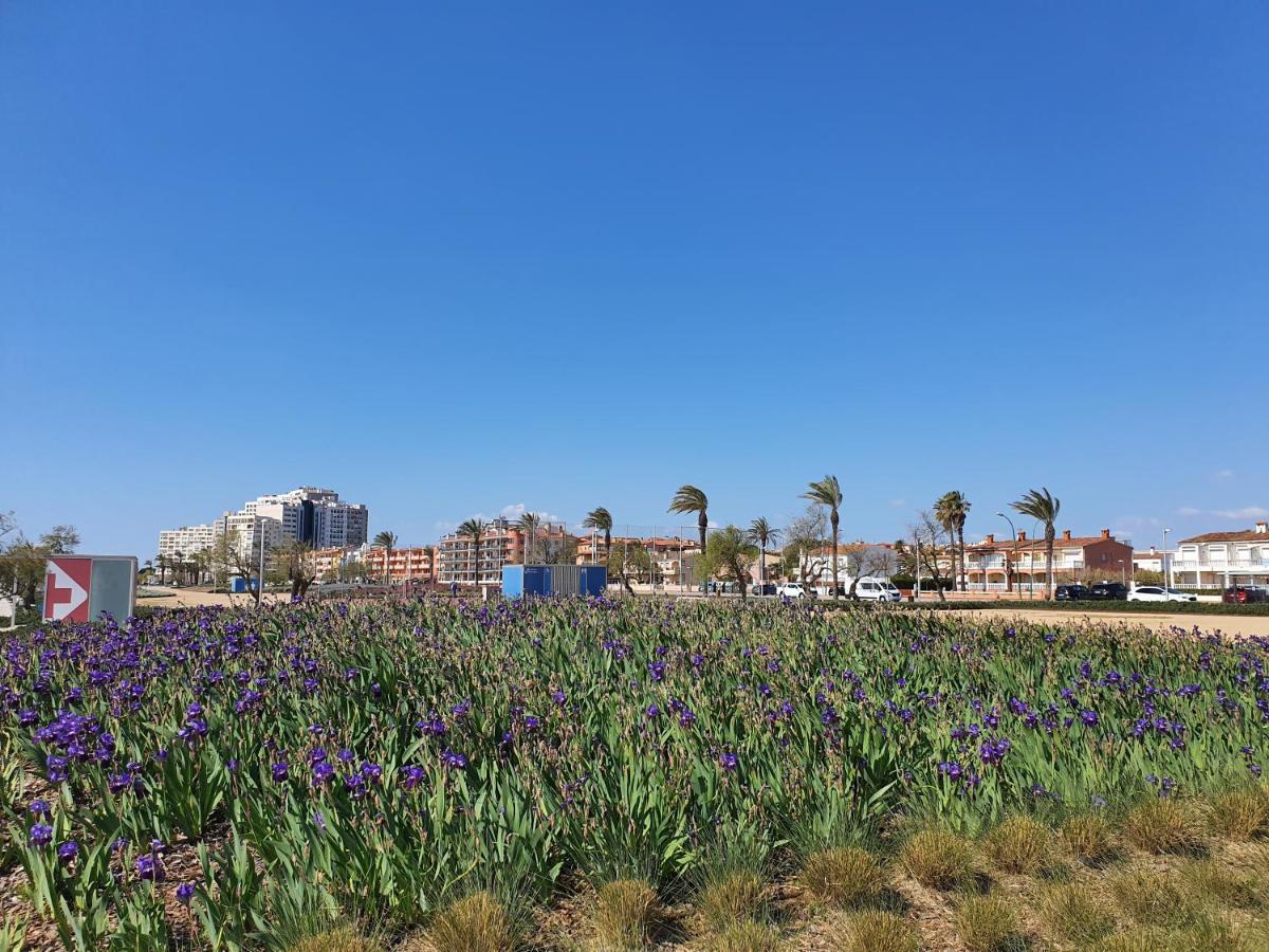 Apartamento Badia 24 艾姆布里亚布拉瓦 外观 照片